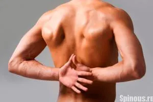 Cum de a reduce o vertebră Cum de a reduce o vertebră