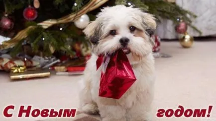 câini de cărți poștale Happy Birthday