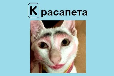 Ce ai zâmbit Ce ai zâmbit