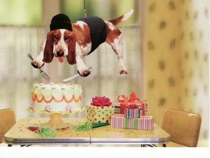 câini de cărți poștale Happy Birthday