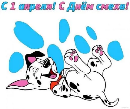 câini de cărți poștale Happy Birthday