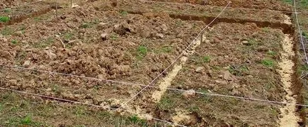 Cum de a construi o casă de cărămidă