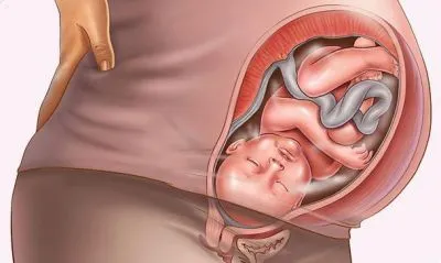 ton uterin este ca ton uterin este ca