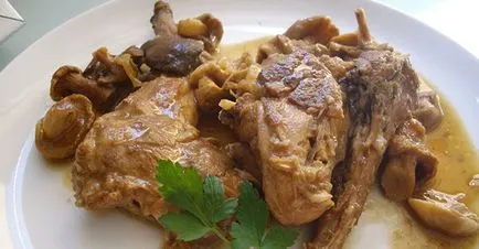 Rabbit în smântână cum să gătească