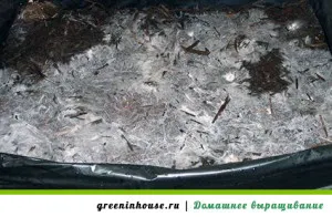 Cum să crească ciuperci la domiciliu Cum să crească ciuperci la domiciliu