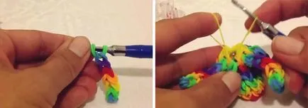 Cum caracatiță