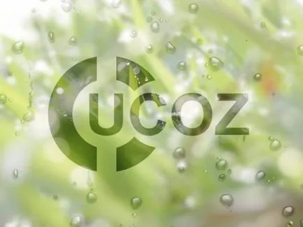 Cum site-ul uCoz Cum site-ul uCoz