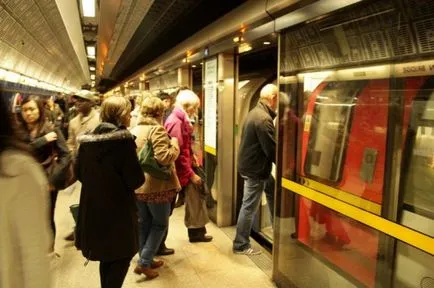 10 posibilități neașteptate de utilizare a sunetului, nuci roșii