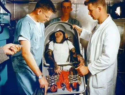 23 Date despre primul cosmonaut - câinele Laika, eroul Uniunii Sovietice