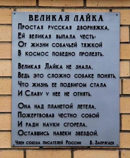 23 Date despre primul cosmonaut - câinele Laika, eroul Uniunii Sovietice