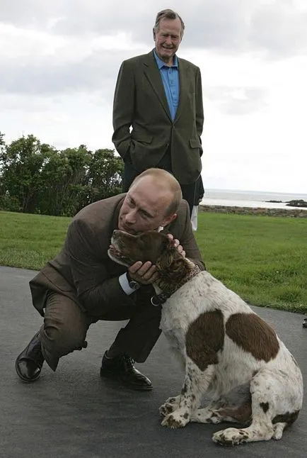 20 Cele mai izbitoare fotografii ale lui Putin cu animale, mai proaspăt - cel mai bun din ziua în care ați avea nevoie vreodată!