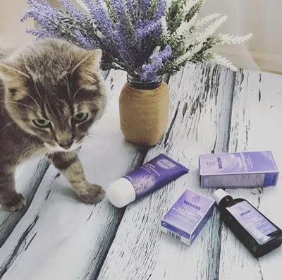 5 mituri populare despre produse cosmetice organice