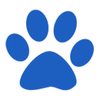Alk - pisica leopard asiatice, pisoi alk, alc grădiniță! (Cumparati alc pisoi) Alk - pisica leopard asiatice, pisoi alk, alc grădiniță!