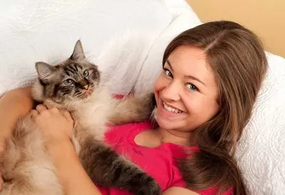 simptome alergice Cat, semne, și cât de repede apare la adulți (unele simptome de alergie la pisici) simptome de alergie pisică, semne, și cât de repede apare la adulți