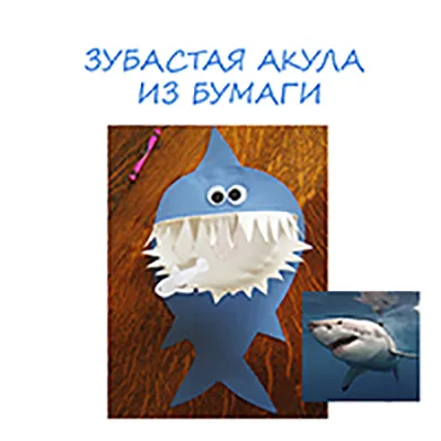 Shark - meserii cu copii, detkipodelki