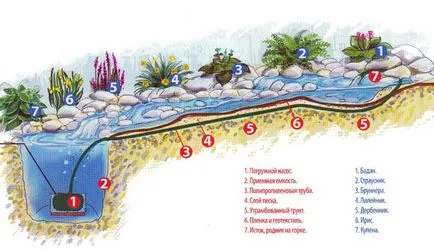 grădină alpină cu o cascadă și un iaz, cum să construiască o gradina iaz si rock