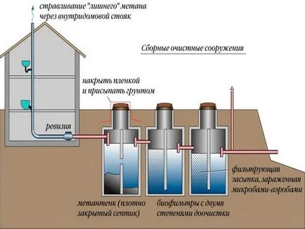 Bacteriile anaerobe și organisme, este
