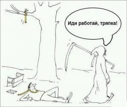 Anecdote despre sensul sensul vieții