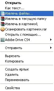 Copierea de rezervă a fișierelor, alfabetizare de calculator (arhivare) Copierea de rezervă a fișierelor, alfabetizare de calculator