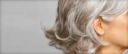 Basma beneficii de colorare a părului și a efectelor nocive, cum să picteze în negru și maro, gri pictat (Basma) Basma beneficii de colorare a părului și a efectelor nocive, cum să picteze în negru și maro, vopsite în gri