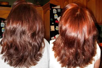 Basma utilizarea de colorare a părului și a efectelor nocive, cum să picteze în negru și maro, gri pictat (Basma de colorare a părului foto) Basma beneficii de colorare a părului și a efectelor nocive, cum să picteze în negru și maro, vopsite în gri