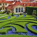 Realizarea unei zone de casă privată - 100 de idei foto ca peisajului de teren într-o casă de țară (complot) Realizarea unei zone de casă privată - 100 de idei foto ca peisajului de teren într-o casă de țară