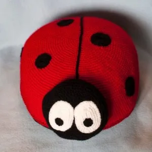 Ladybird din resturi de materiale