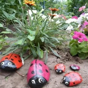 Ladybird pentru cabane cu propriile mâini