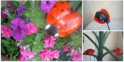 Ladybird din sticle de plastic