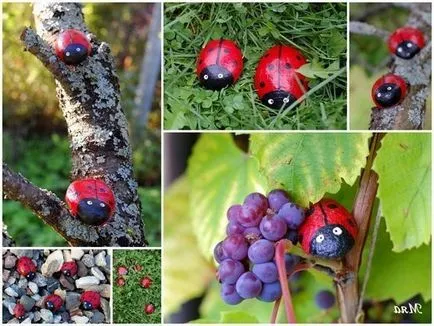 Ladybird pentru cabane cu propriile mâini