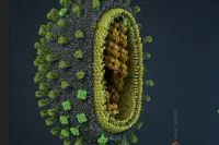 Bacteriile sunt diferite de viruși, întrebări eterne, întrebare-răspuns, argumente și fapte