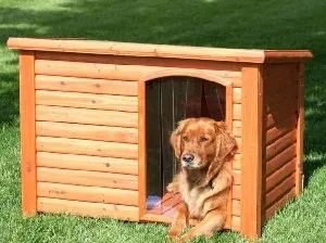 Cabine pentru cîine cu propriile mâini, desene și dimensiuni ale canisei proiectului din lemn (cutie) Cabine pentru cîine cu propriile mâini, desene și dimensiuni ale coteț proiect din lemn