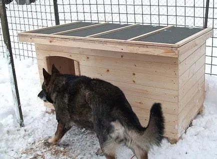 Cabine pentru cîine cu propriile mâini, desene și dimensiuni ale canisei proiectului din lemn (mâini) Cabine pentru cîine cu propriile mâini, desene și dimensiuni ale coteț proiect din lemn