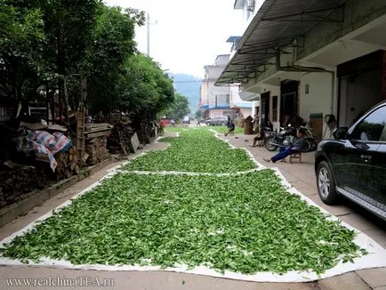 Ghid de ceai - ceea ce este oolong