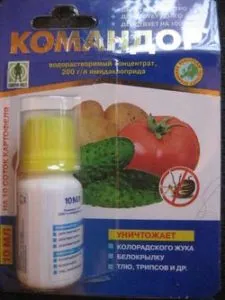 Plantele de prelucrare de la afide - cum să scape de droguri și (remedii populare) (scăpa) Plantele de prelucrare de la afide - cum să scape de (medicamente și remedii populare)