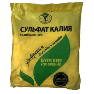Hortensie de alimentare pentru înflorire abundentă, îngrășământul de vară în primăvara și toamna