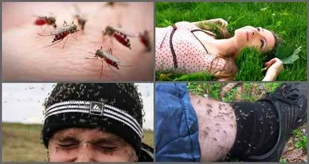 Ceea ce este posibil să se răspândească mușcături de țânțari un copil (poate) Ceea ce este posibil să se răspândească mușcături de țânțari un copil