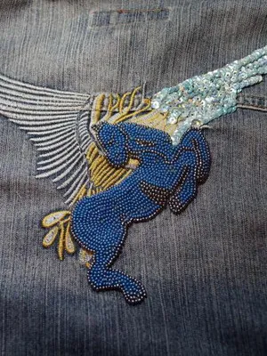Cum să jacheta denim cu strasuri