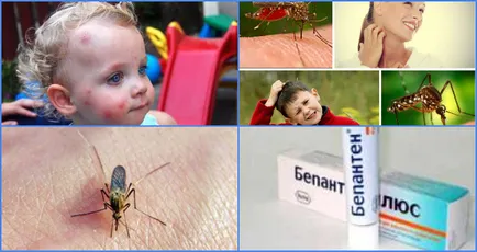 Ce ar trebui să ungi înțepături de țânțar copil