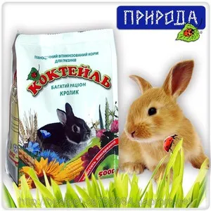 Ce ar trebui să aibă iepure decorativ, pentru a nu se îmbolnăvesc din dieta necorespunzătoare (mânca) Ce ar trebui să aibă iepure decorativ, pentru a nu se îmbolnăvesc din dieta necorespunzătoare
