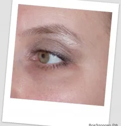 Ce este de zi cu zi make-up și cum să o facă
