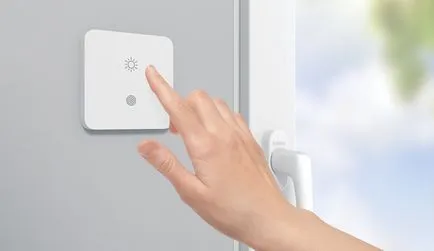 Că atârnă pe ferestrele în loc de perdele