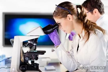 Ce este un curs postuniversitar și de ce trebuie să faci, baza răspunsurilor la întrebări (studii postuniversitare) Ce este un curs post-universitar și de ce trebuie să faci, baza răspunsurilor la întrebări