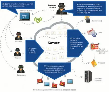 Ce este o funcție botnet care efectuează botneturilor