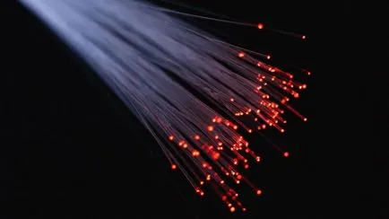 Ce este Fibre pentru Dummies