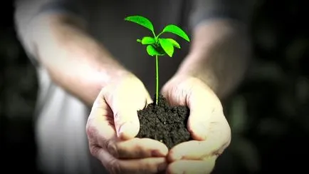 Ce este ecologia - definiție, importanță și tipuri de mediu