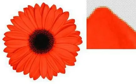 Ce este o definiție bitmap, clasificarea, traducerea într-un vector