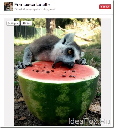 Ce este pinterest (pinterest) cum să-l folosească și de a folosi în avantajul lor