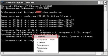 Ce face „ping“