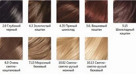 vopsele pentru păr de culoare 1
